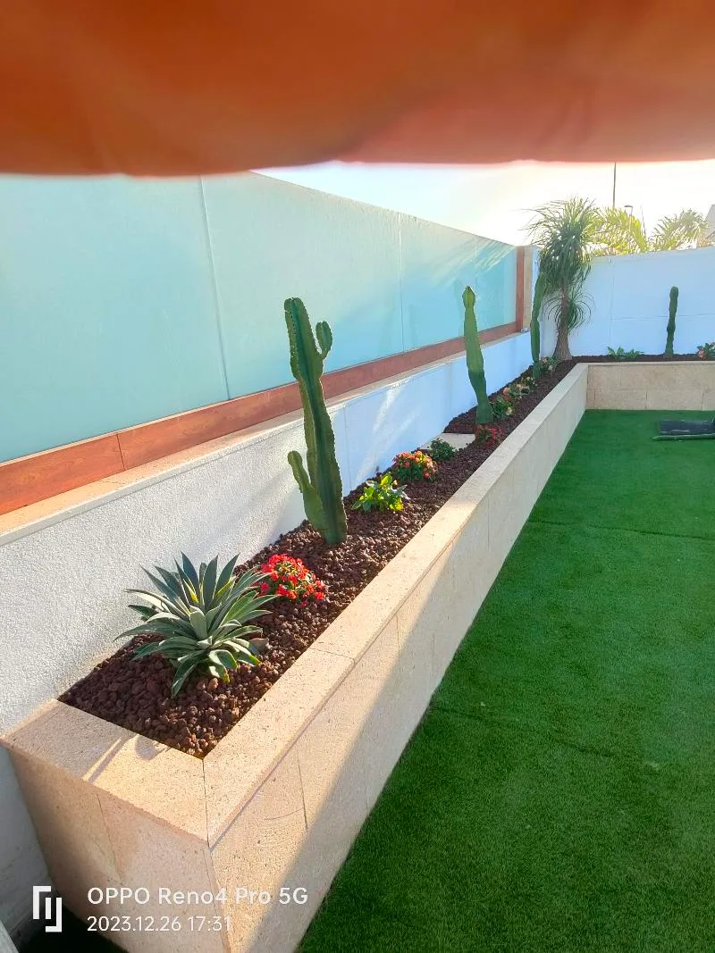 Paisajismo y jardinería en Los Cristianos, Tenerife