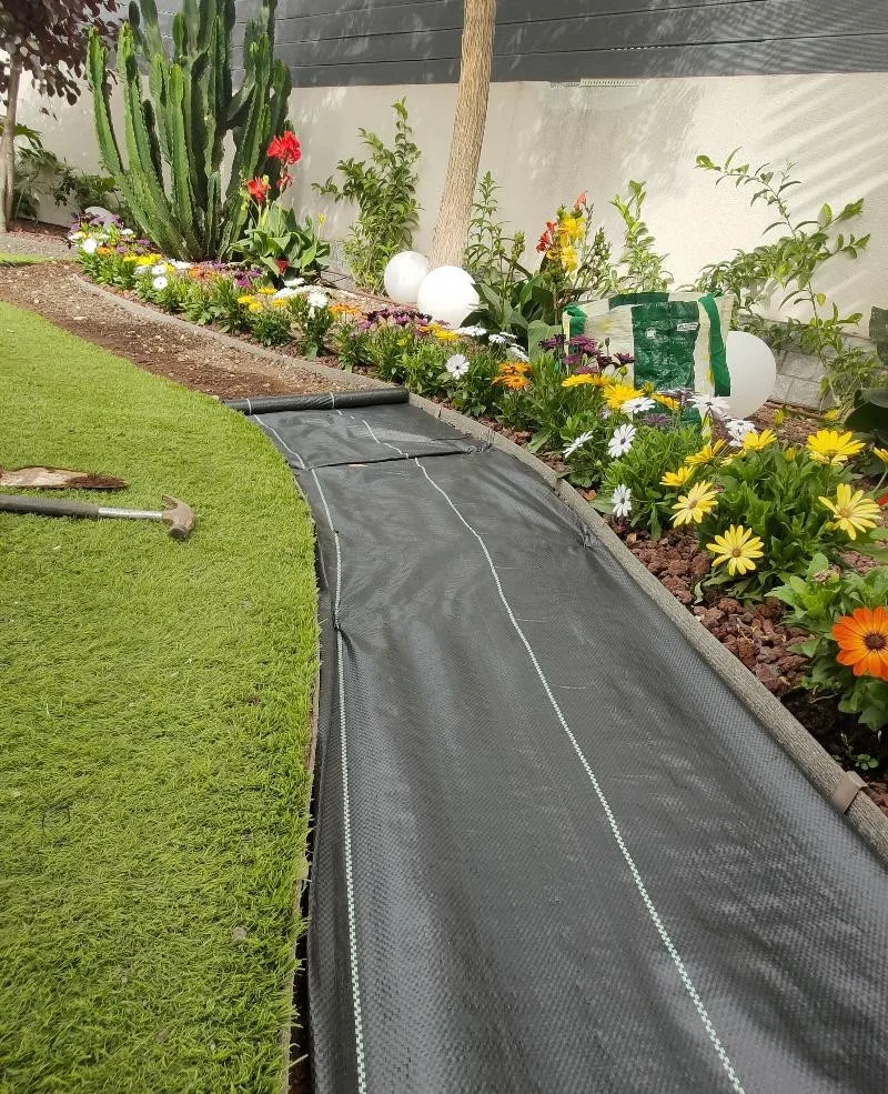 Diseño de jardín moderno en Palm-Mar, Tenerife Sur